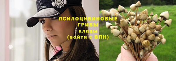 PSILOCYBIN Ладушкин