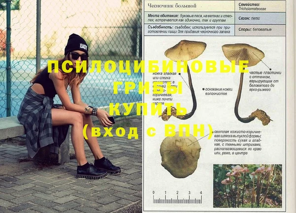 прущая мука Сосновый Бор