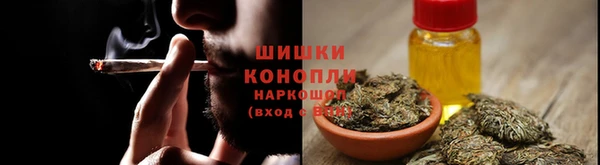 стаф Тында